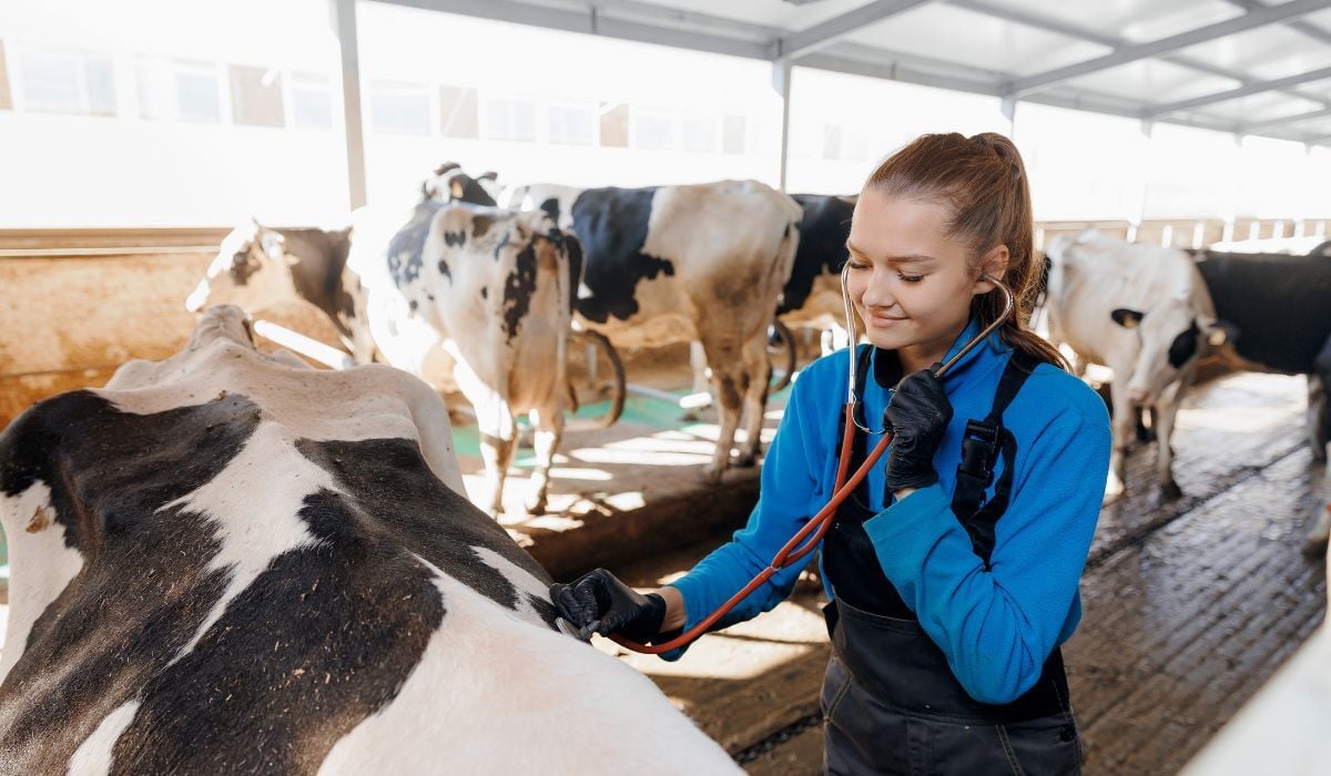 What Are SBA Loan Requirements for 2026?